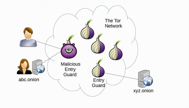 tor network