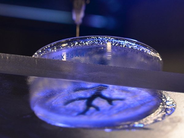 3-D printing of a coronary artery structure. Expanding knowledge of the human body and modern technology could move us to a world where transplant patients will no longer wait years for new organs. Scientists developed a 3-D printing process to create coronary artery structures. (Photo : The College of Engineering - Carnegie Mellon University )