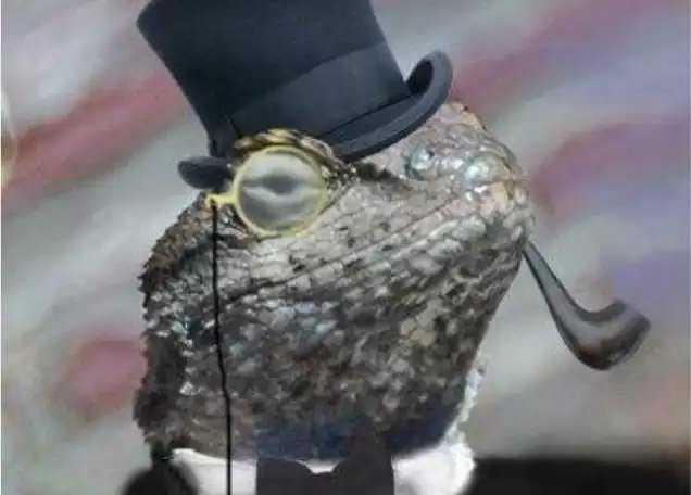 FCC fines Cox for falling for Lizard Squad scam, exposing customer data