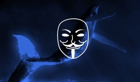 Anonymous Takes Down Five Government Websites in Iceland to Protest Whale Hunting