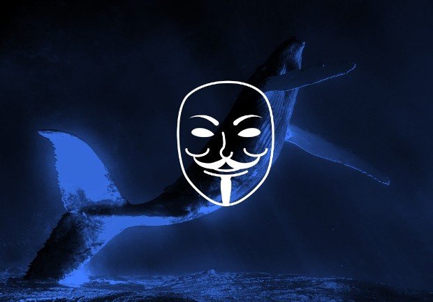 Anonymous Takes Down Five Government Websites in Iceland to Protest Whale Hunting