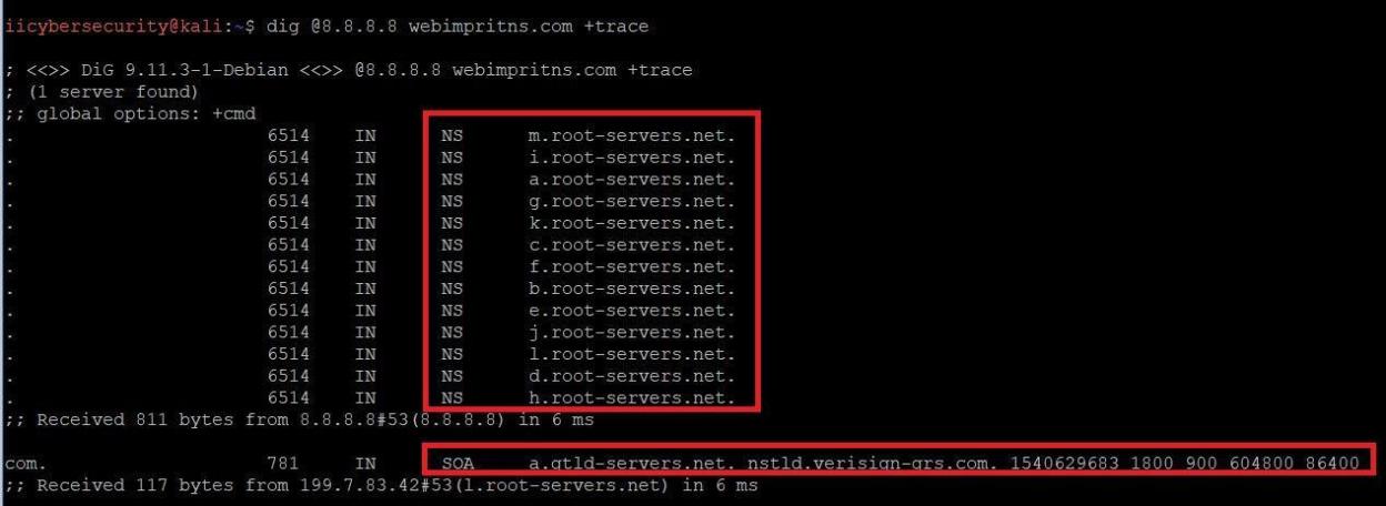 Deep Dig – NSLookup Utility for iPhone, iPad and iOS