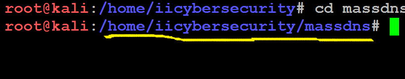 The underlinded portion signifie’s that you are in the massdns folder .