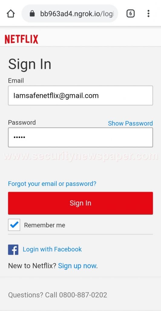  Netflix Phishing Page 