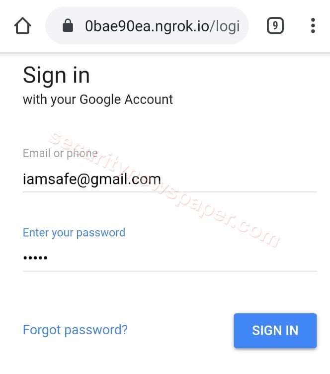 Google Phishing Page