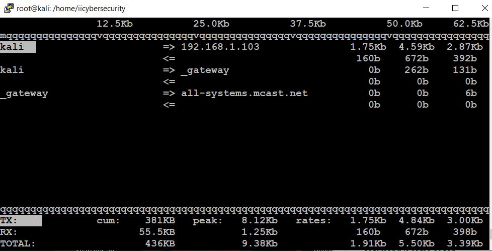 Iftop Command