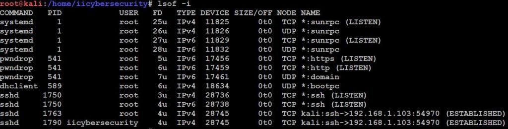 lsof command