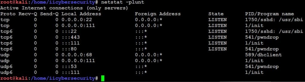 Netstat command