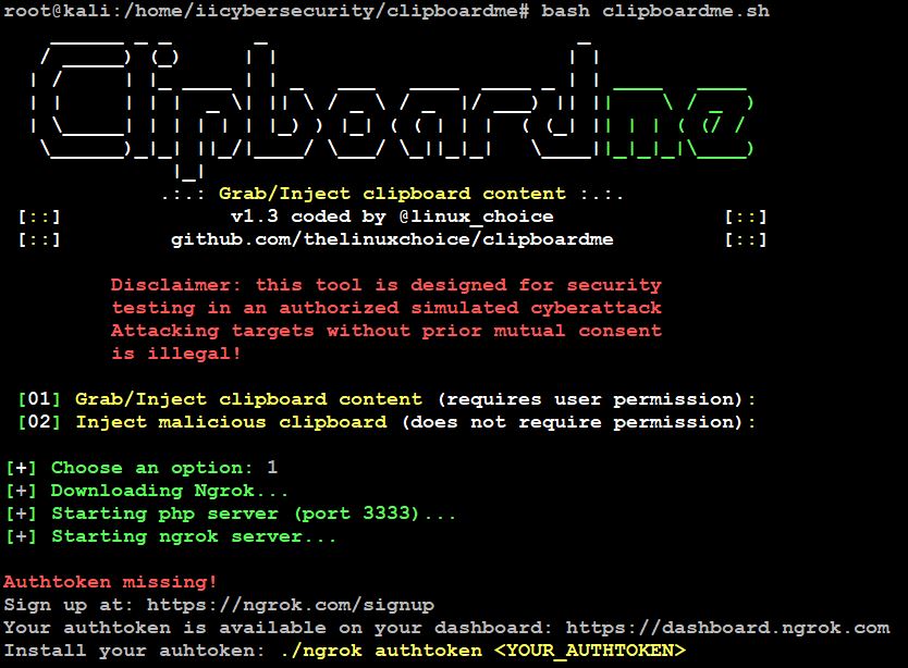 Clipboardme - Ngrok AuthToken