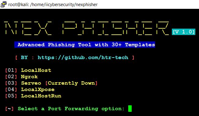 Port Forwarding Option