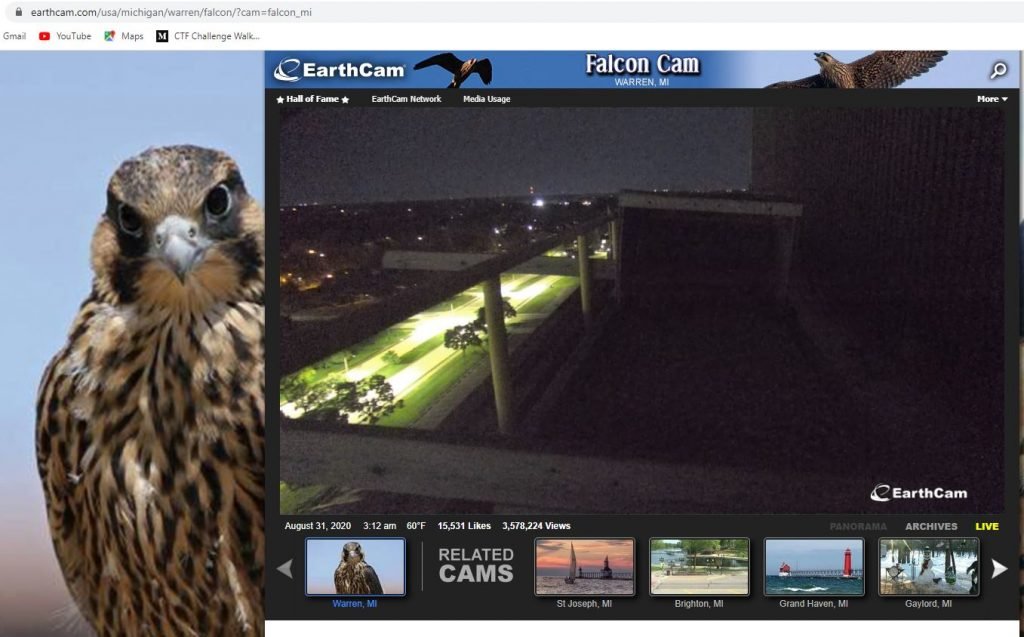 Earthcam