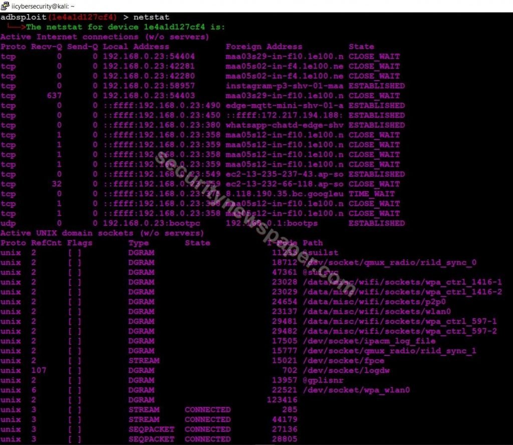 ADBSploit - Netstat