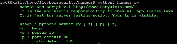 Use Hammer Tool To Test DOS And Put Down Your Server